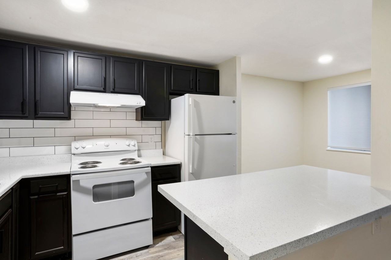 The Iris - Photo 4 of 13