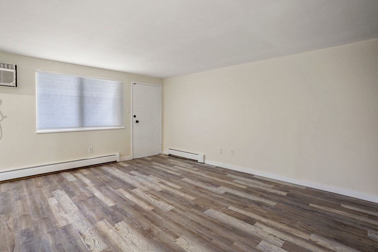 The Iris - Photo 6 of 13