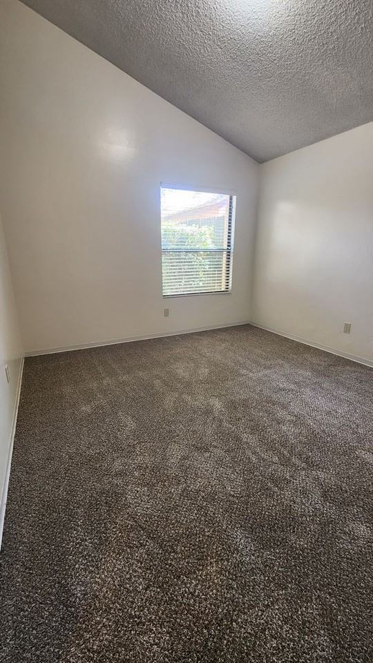 3509 Rosemary Ct - Photo 5 of 14