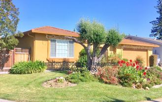 6106 Via De Las Abejas - Photo 1 of 1