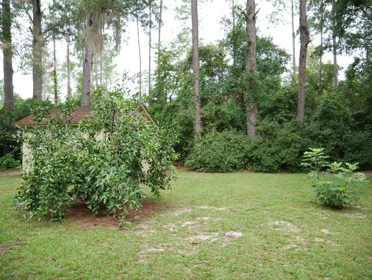 5823 Snake Nation Rd - Photo 2 of 15