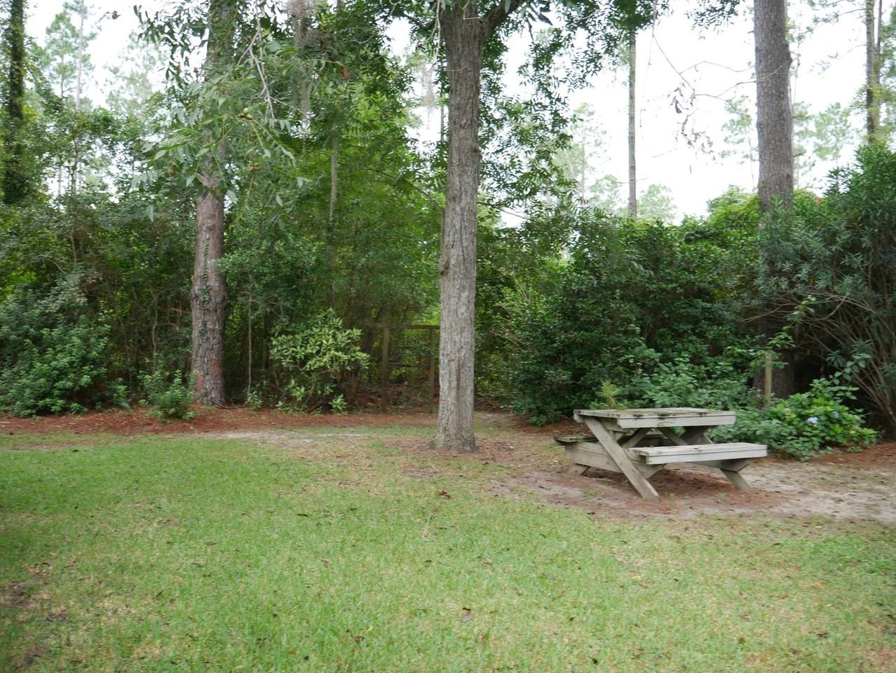5823 Snake Nation Rd - Photo 3 of 15
