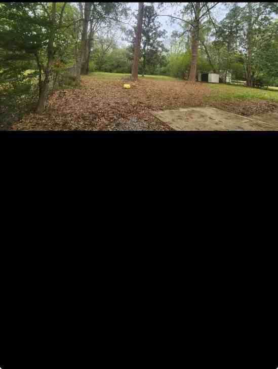 1707 Hill Hedge Dr - Photo 4 of 4