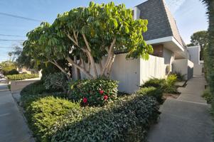 featured image of 1912 Bataan Rd