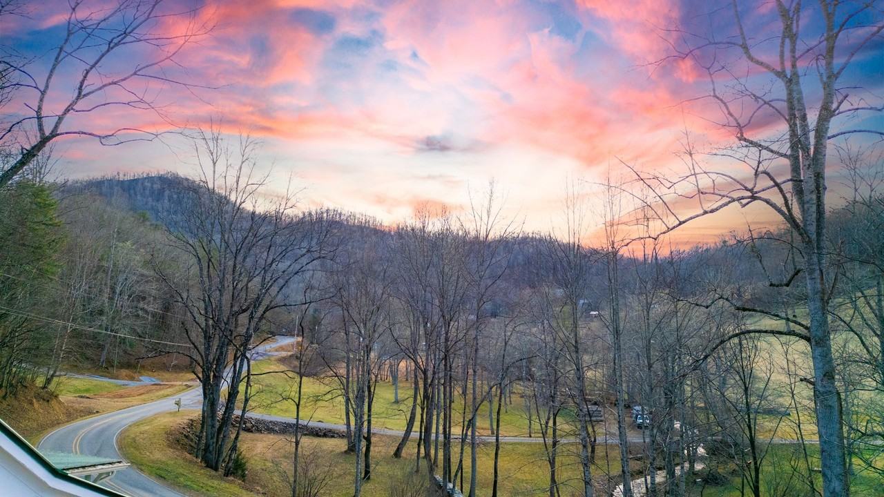 1239 E Fork Rd - Photo 7 of 18