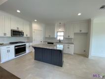 30156 Sanctuary Blvd - Photo 1 of 1