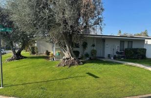 featured image of Princeton Ave