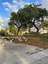 11342 Sw 70th Ter - Photo 1 of 1