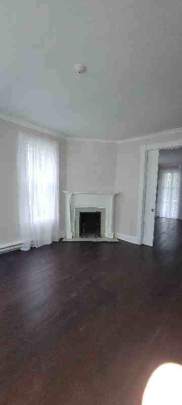 233A S Prospect St #233A - Photo 6 of 38