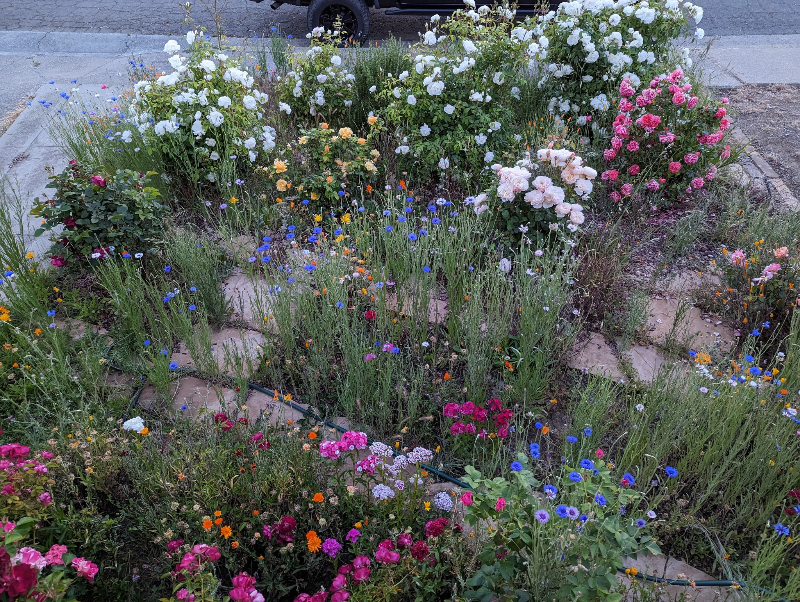 138 Viewmont Ave - Photo 3 of 31