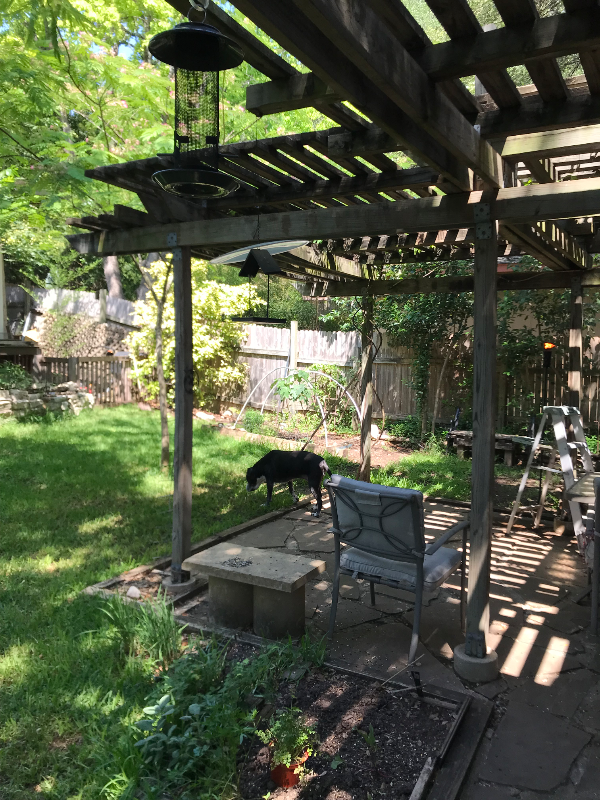 903 Sweetwater River Dr - Photo 6 of 9