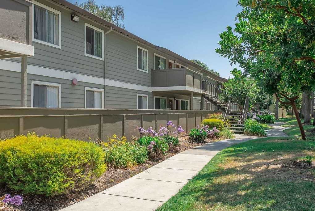 The Woods - Photo 7 of 34