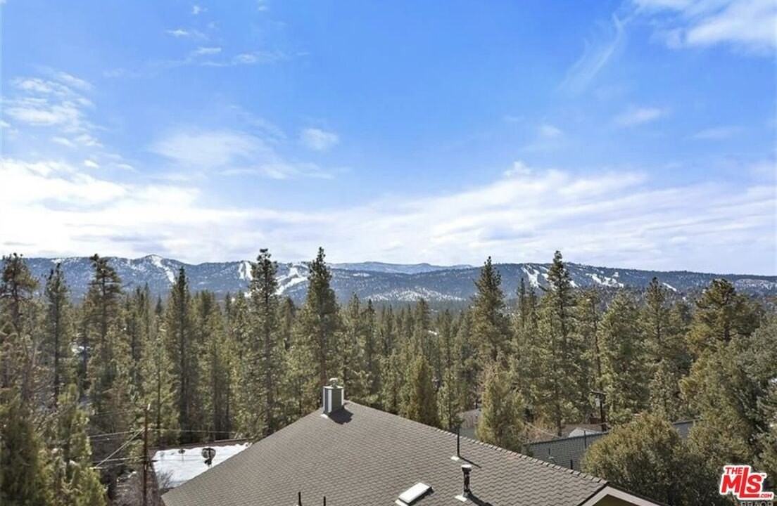 1165 Green Mountain Dr - Photo 3 of 38