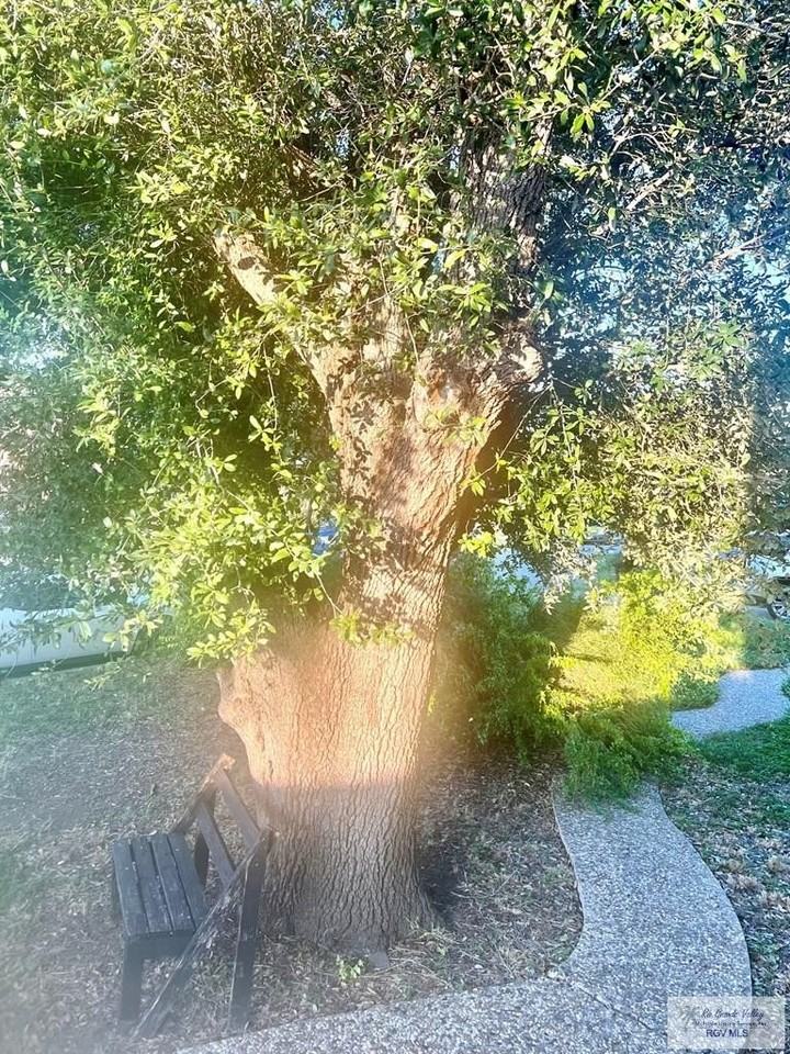 1124 Sierra Grande Dr - Photo 2 of 17