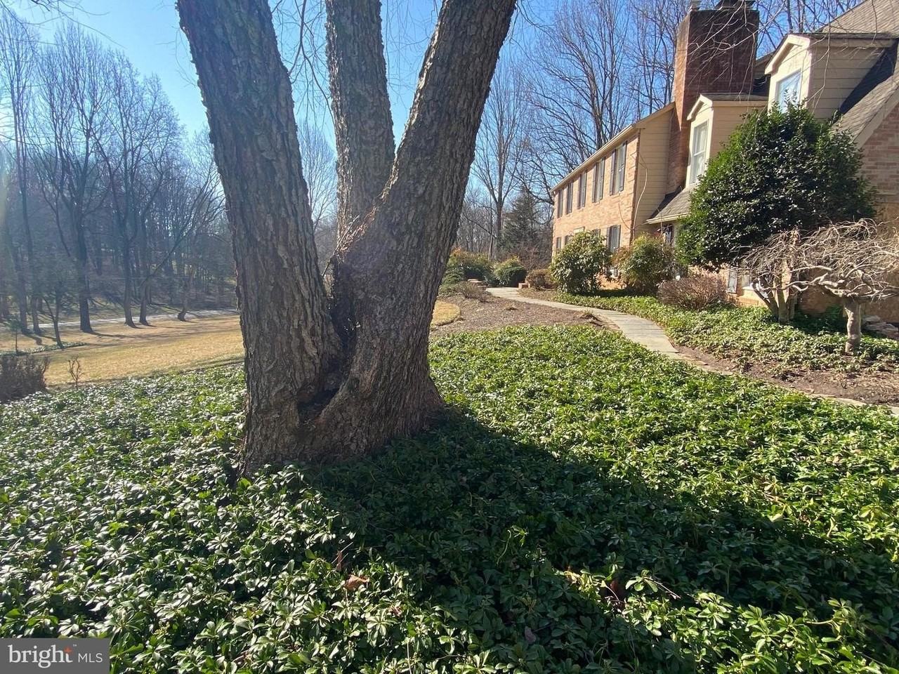 9701 Georgetown Pike - Photo 2 of 50