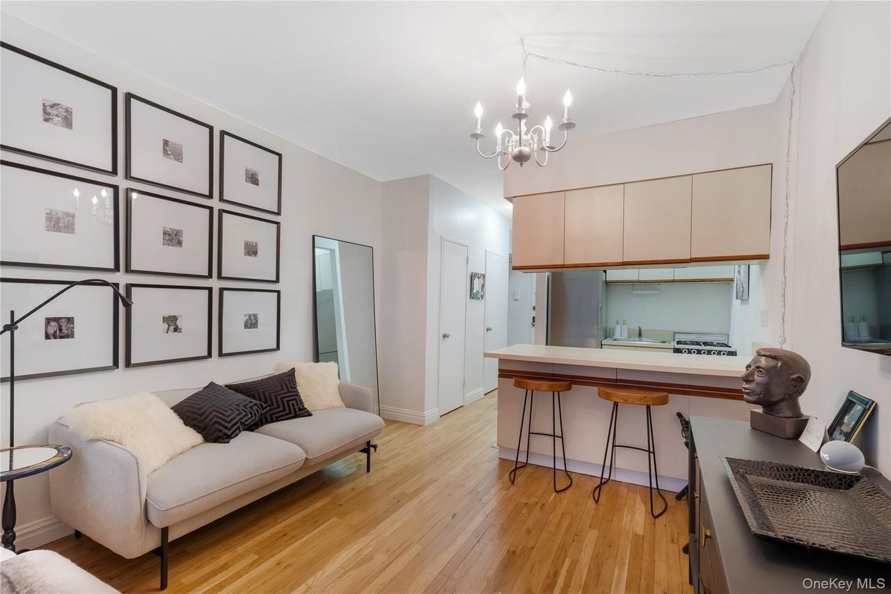 444 E 87th St Apt 3e #3E - Photo 5 of 9