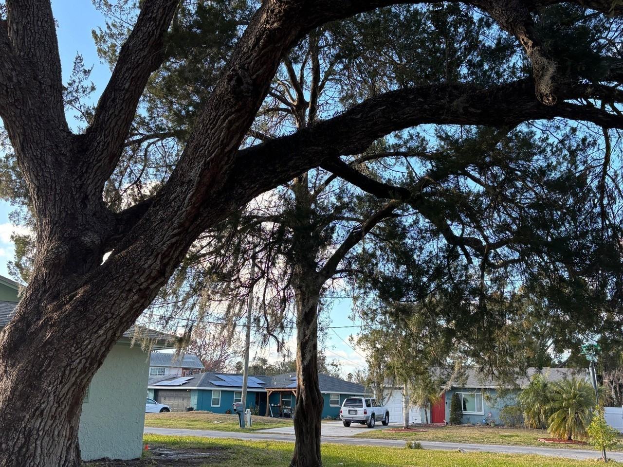 4515 Needle Palm Dr - Photo 3 of 21