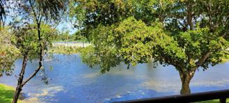 611 Lyons Rd #8202 - Photo 1 of 1