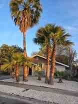 419 E Vine Ave - Photo 1 of 1