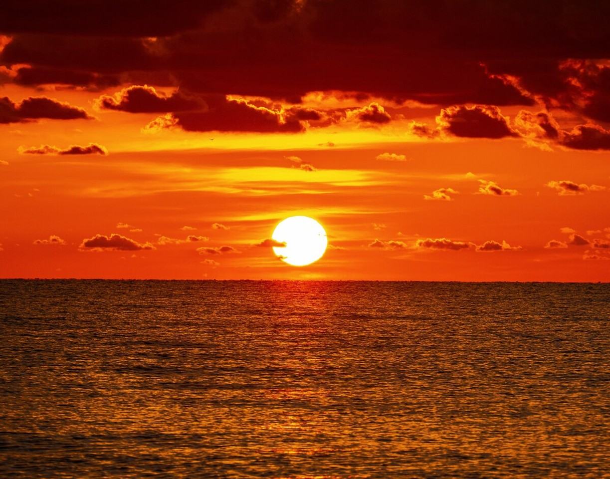 601 N Ocean Blvd #1424311P - Photo 7 of 32