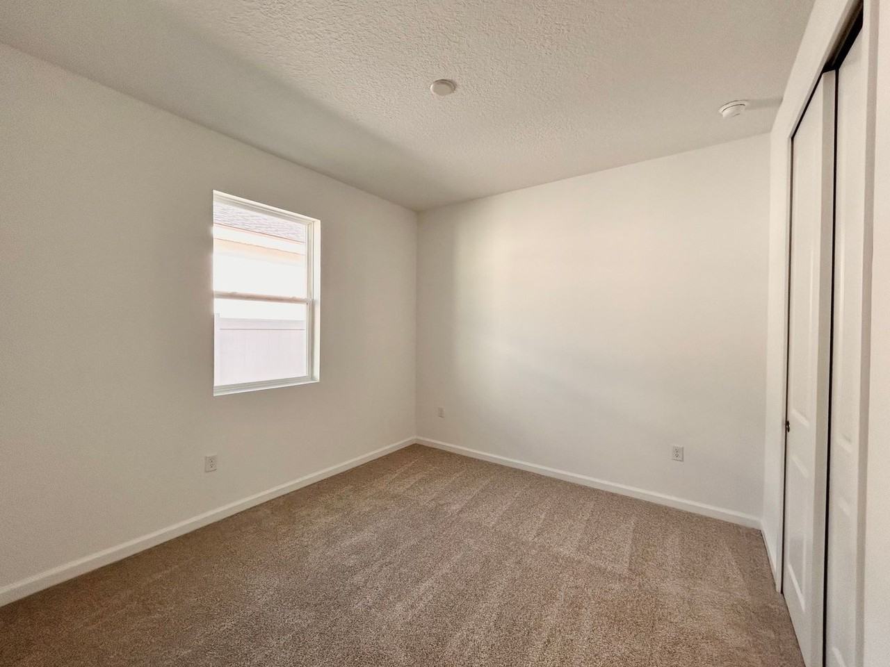 13243 Generations Ave - Photo 4 of 13