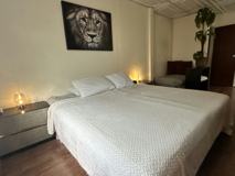 2426 S 19th St #ONYX - Photo 1 of 1