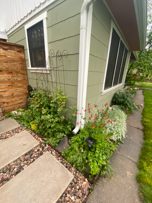 419 Wood St - Photo 2 of 35