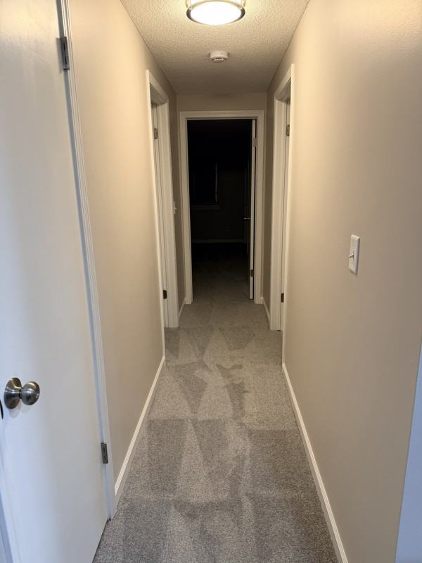 2717 Oppenheim Ct #1 - Photo 5 of 19