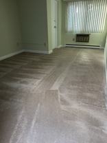 24 Camp St #6 - Photo 1 of 1