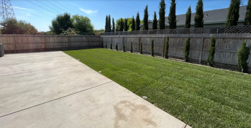 2494 Valdes Dr - Photo 3 of 9