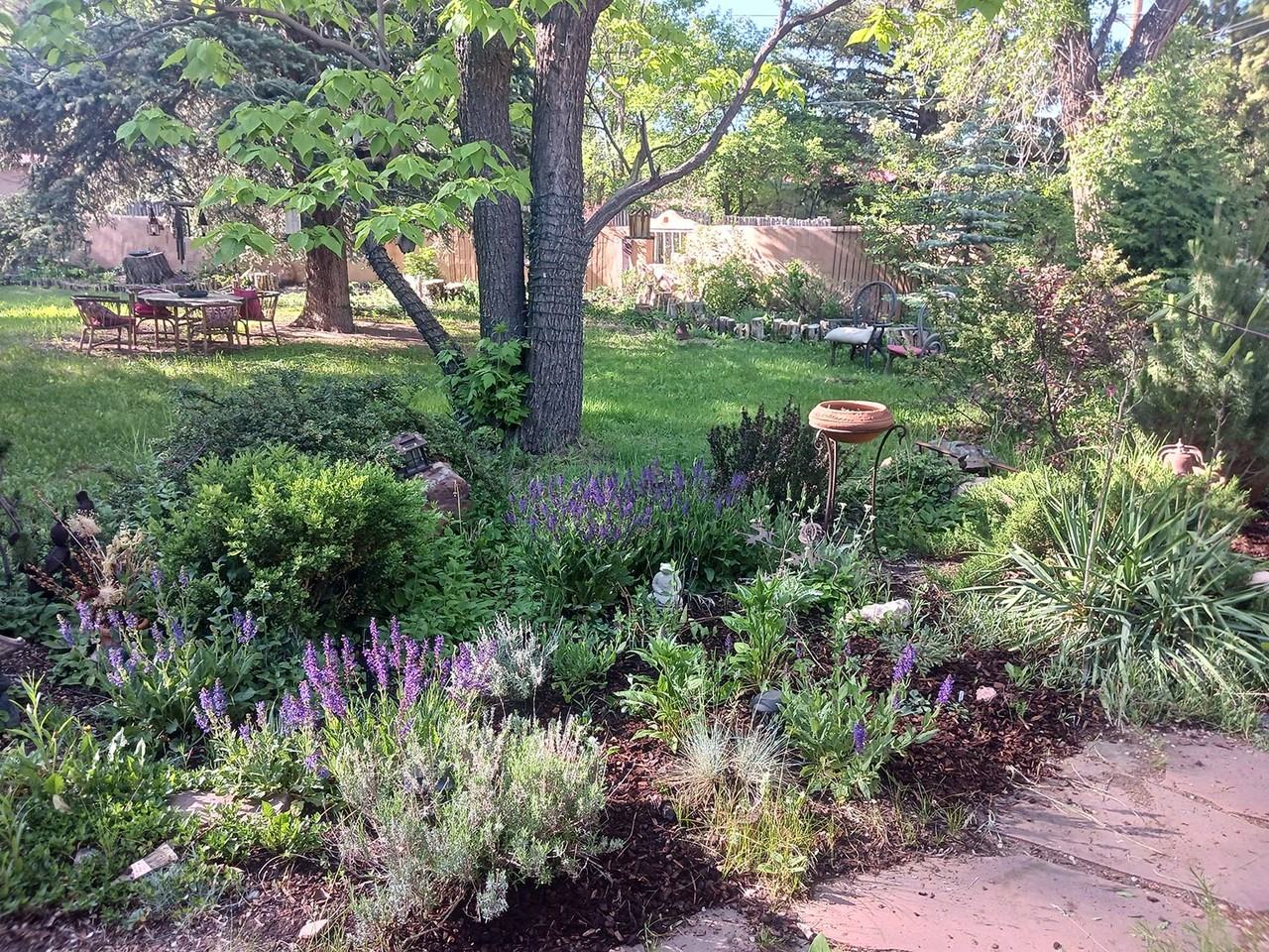 519 La Lomita Road - Photo 4 of 22