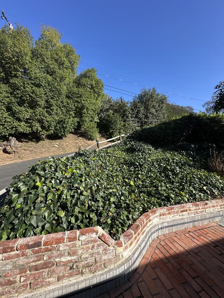 4370 Calavo Dr #NA - Photo 6 of 43