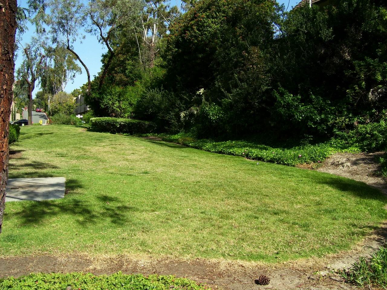 5006 Collwood Way #92 - Photo 6 of 8