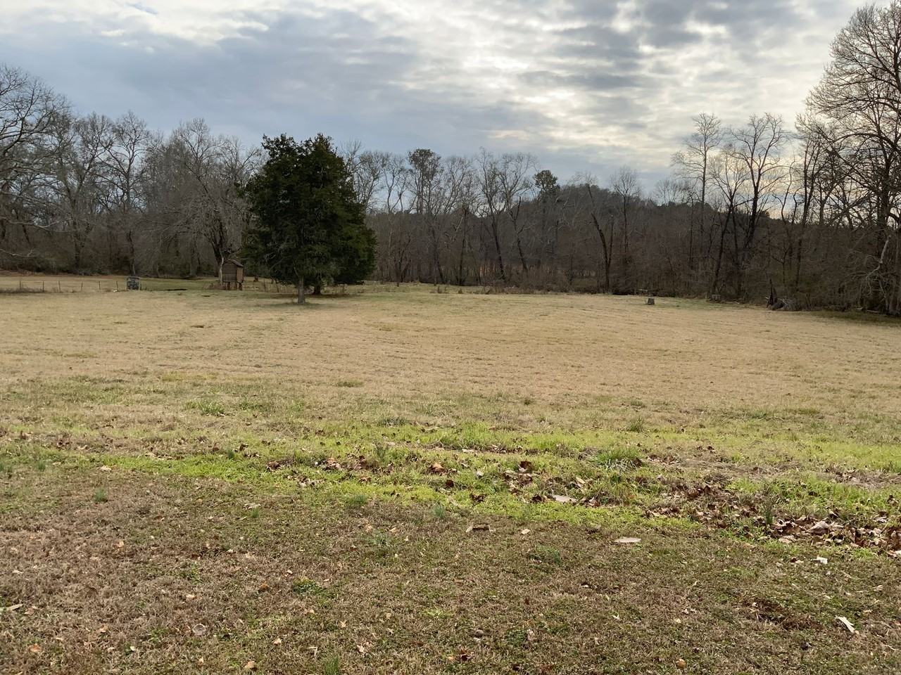 830 Antioch Rd - Photo 2 of 11