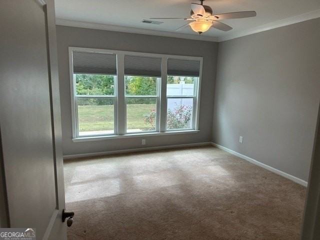 1304 Bugle Ct - Photo 6 of 12