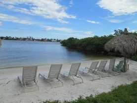 1000 Scotia Dr #504 - Photo 1 of 1