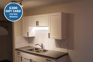 featured image of 195 Perkins Cres