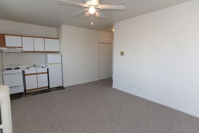 3957 W Irving Park Rd #304 - Photo 6 of 10