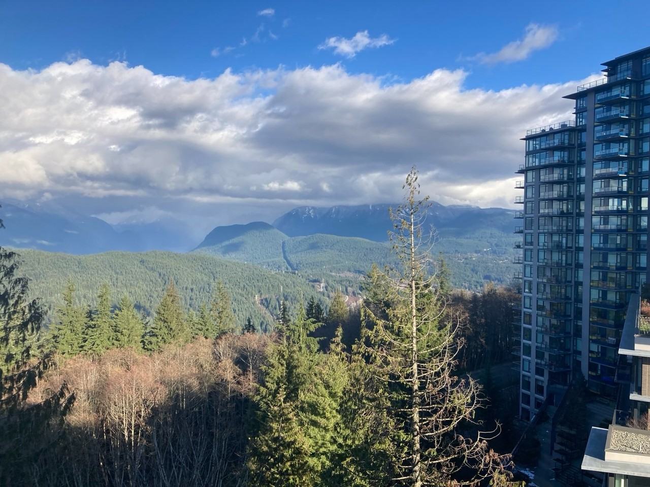 8750 University Cres - Photo 3 of 50