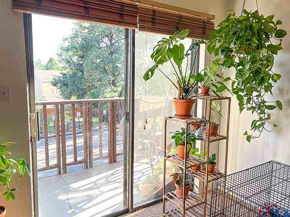 3055 Trinity Dr Apt 614 - Photo 7 of 35