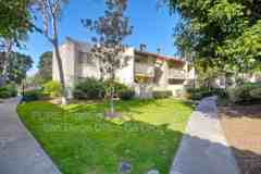 9909 Azuaga St #C205 - Photo 1 of 1