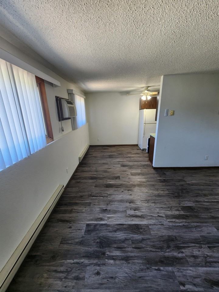 2900 Autumn Drive - Photo 4 of 10