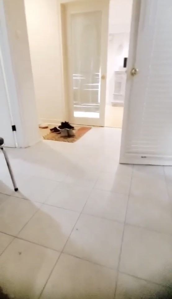 Don Mills Rd W & Van Horne Ave - Photo 3 of 6