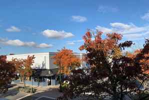 featured image of 5040 48 Avenue #201