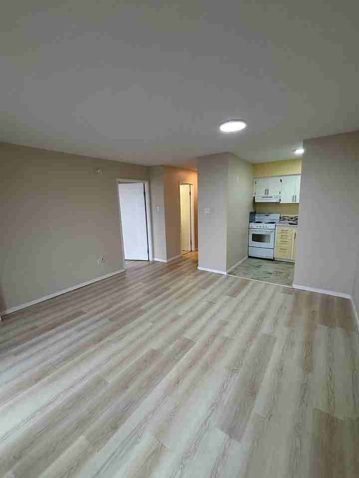 Bute St & Pendrell St - Photo 3 of 13