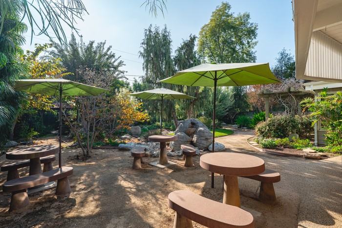 1342 Skyline Dr - Photo 6 of 50