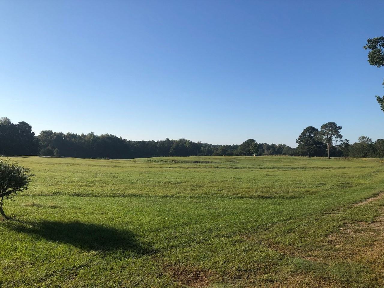 3180 Lee Road 137 - Photo 2 of 7