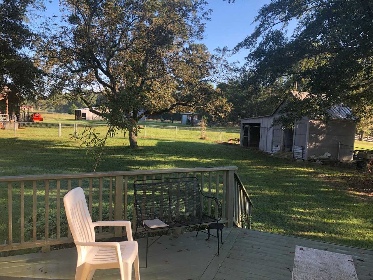 3180 Lee Road 137 - Photo 4 of 7