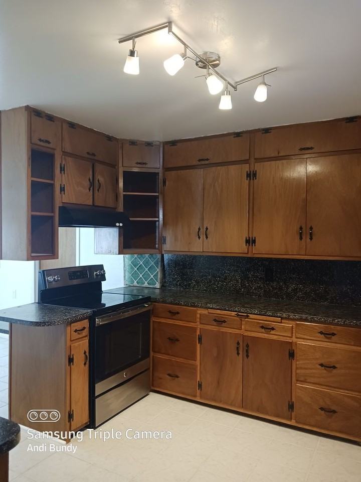 507 S Chestnut St - Photo 5 of 15