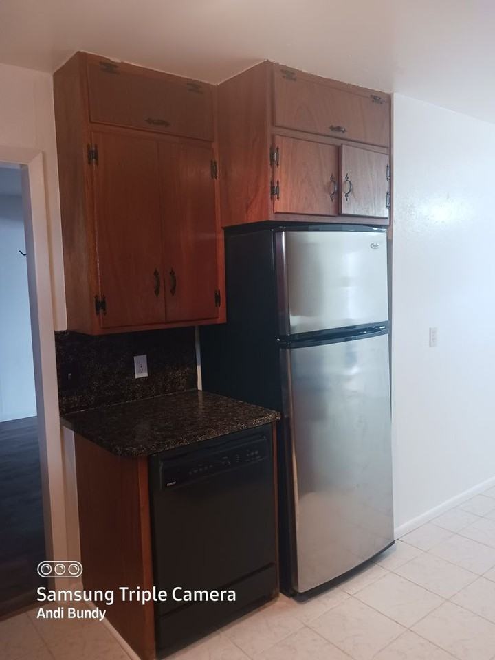 507 S Chestnut St - Photo 7 of 15